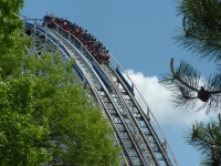 Click for Full Size Photo