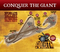 Click for Full Size Photo