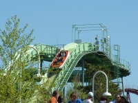 Click for Full Size Photo