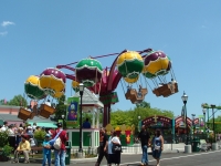 Click for Full Size Photo