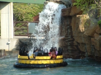 Click for Full Size Photo