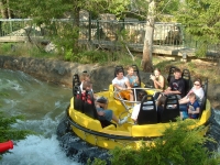 Click for Full Size Photo