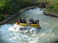 Click for Full Size Photo