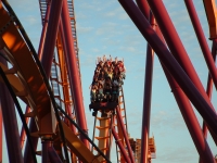 Click for Full Size Photo