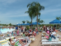 Click for Full Size Photo