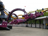 Click for Full Size Photo