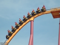 Click for Full Size Photo