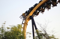 Click for Full Size Photo