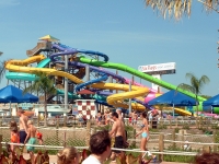 Click for Full Size Photo