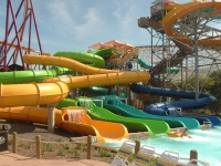 Click for Full Size Photo