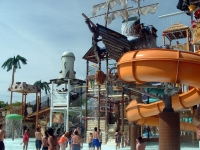 Click for Full Size Photo