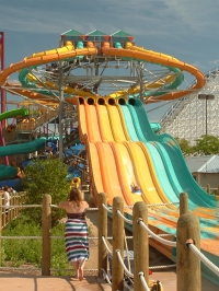 Click for Full Size Photo