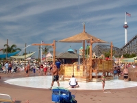 Click for Full Size Photo