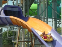 Click for Full Size Photo