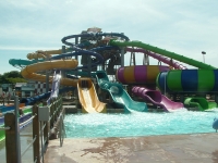 Click for Full Size Photo