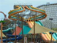 Click for Full Size Photo