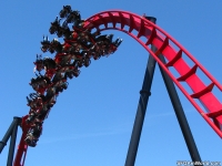 Click for Full Size Photo