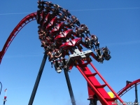 Click for Full Size Photo