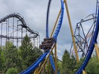 Click for Full Size Photo