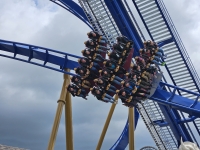 Click for Full Size Photo