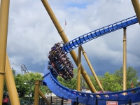 Click for Full Size Photo