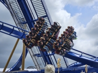 Click for Full Size Photo