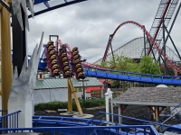 Click for Full Size Photo