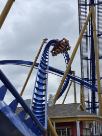 Click for Full Size Photo