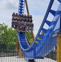 Click for Full Size Photo